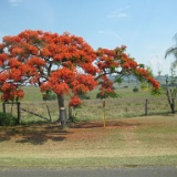 18 Dec - Stanthorpe Day 1